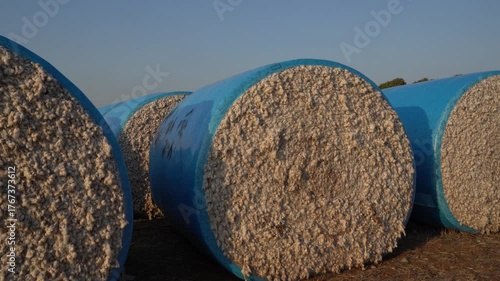 Large Blue-Wrapped Cotton Bales in the Field
