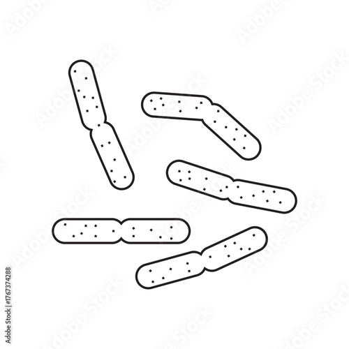Lactobacillus casei line icon