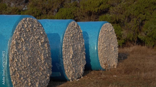 Large Blue-Wrapped Cotton Bales in the Field
