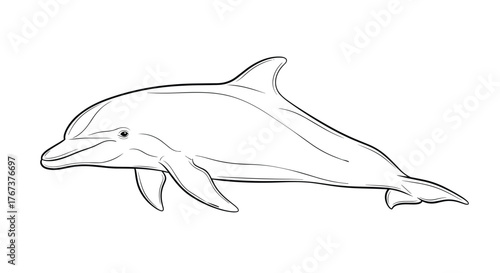 Line drawing illustration of a dolphin swimming gracefully in the ocean.