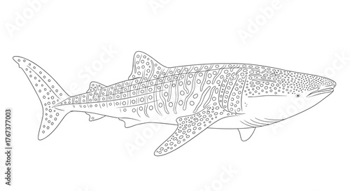 Outline illustration of a whale shark with distinctive spotted pattern, swimming left.