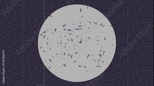 Microscope. Bacteria or microbes. Retro. 1920s, 1930s. Stylization