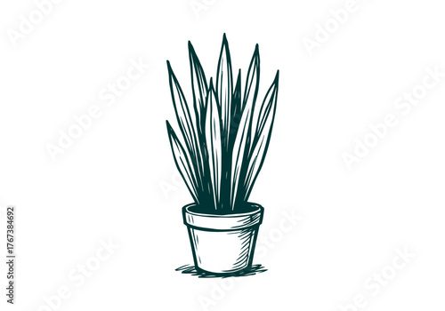 Potted Plant hand drawn simple sketch vector illustration