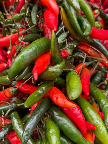 Colors of Albania, vibrant peppers bringing life to Tirana’s Covered Market
