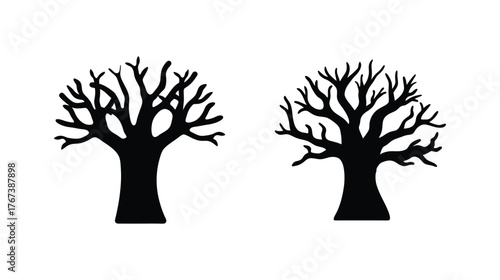 Two silhouetted bare trees detailed branches stark autumn winter nature scene