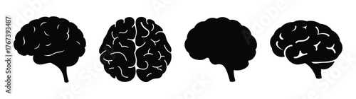 Four black silhouette brain views showing different angles and internal structures for medical and educational concepts