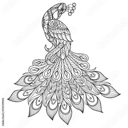 Single peacock hand drawn for adult coloring book