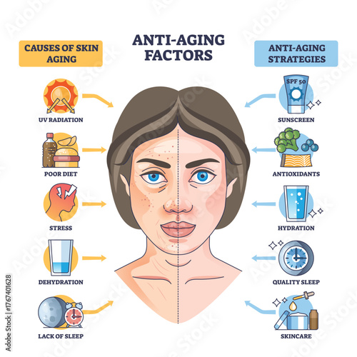 Anti-aging factors diagram contrasts skin aging causes and strategies, split face, arrows, and icons show UV, diet, sleep versus sunscreen, hydration, skincare. Outline diagram