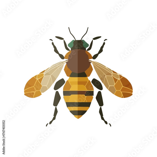 Honey bee flat vector illustration with geometric wings
