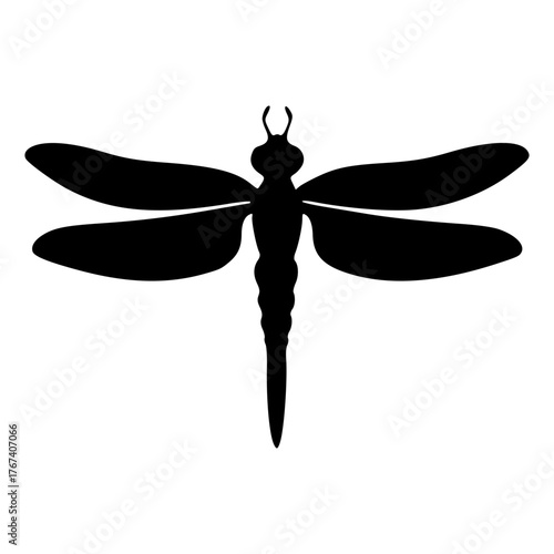 dragonfly vector illustration