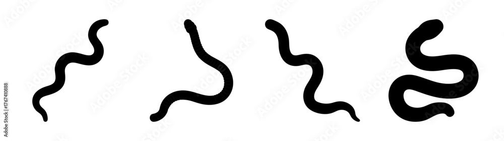 Fototapeta premium Fourblackearthwormsilhouettesshowingdifferentwavyuncoiledandcoiledpositionsagainstawhitebackdrop