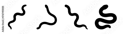 Fourblackearthwormsilhouettesshowingdifferentwavyuncoiledandcoiledpositionsagainstawhitebackdrop