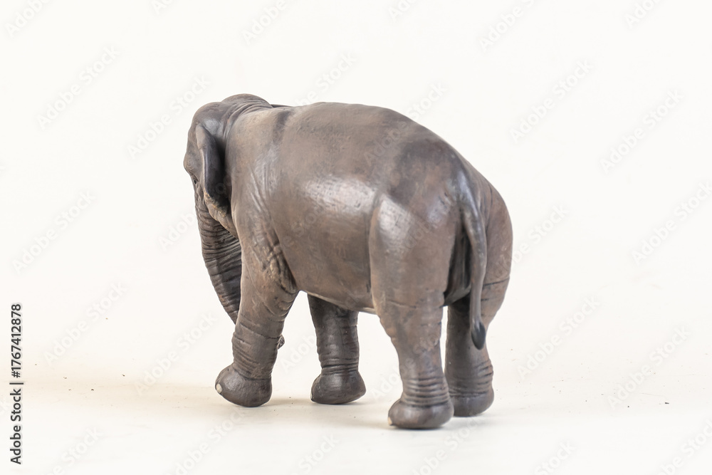 Obraz premium asian elephant on isolated background
