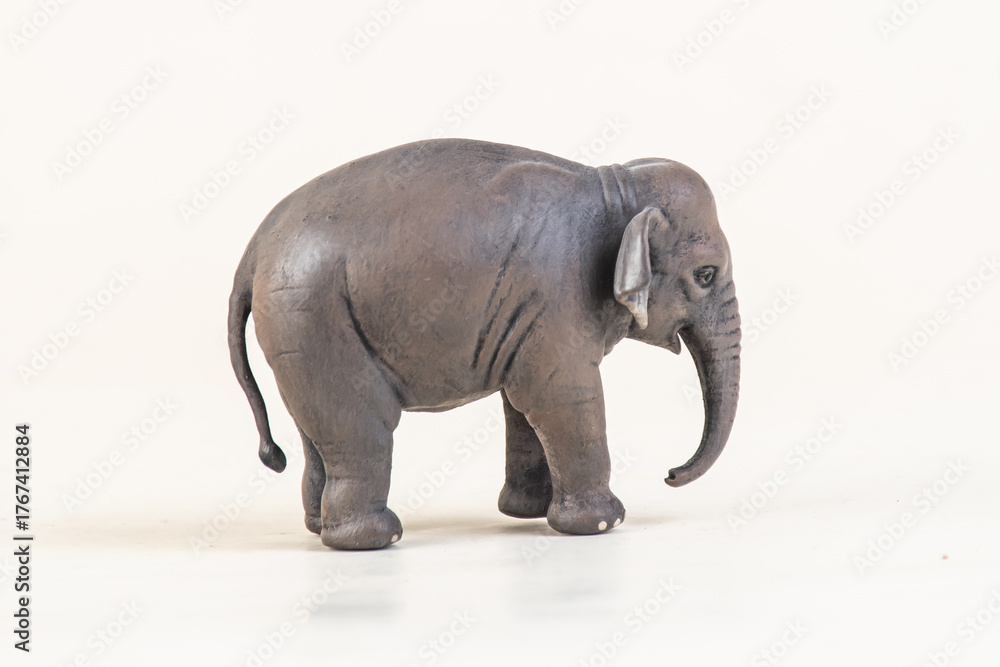 Obraz premium asian elephant on isolated background