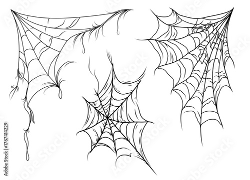 Assorted Corner Spider Webs Detailed Black Line Vector Illustration Isolated On White Background