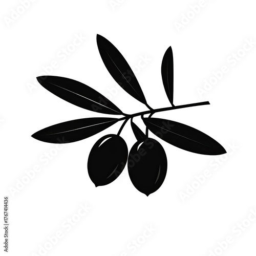 Silhouette of olive branch with two olives on a black background