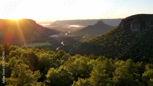 Aerial drone shot flying forward over a vibrant green forest at sunrise, revealing a majestic valley woods, vista, peace
