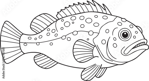 Detailed line art of a grouper ready for coloring books or educational materials, a classic vector illustration of marine life for creative projects