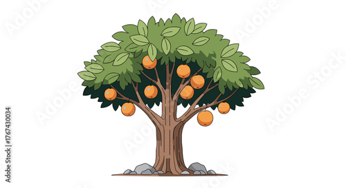 A cartoon orange tree laden with ripe fruit, set against a white background with rocks at its base.