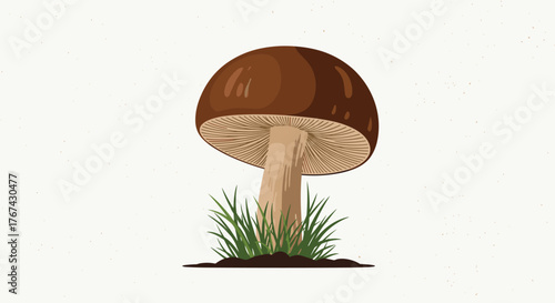Brown mushroom with a rounded cap and gills, growing in green grass and dark soil.