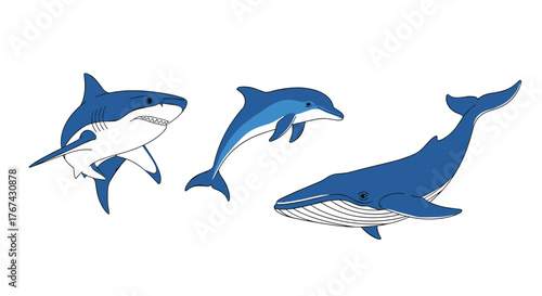 Illustration of a shark, a dolphin, and a whale swimming.