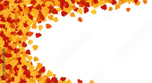 Autumn Leaves Border Design with White Space.