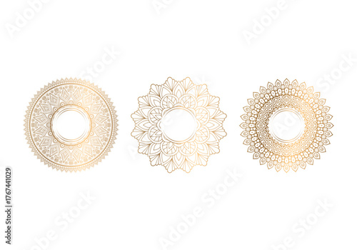 Elegant Mandala Ornament Vector, round abstract circle. Mandala style