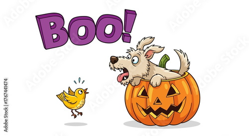 Surprise pumpkin pup scares little bird with a Halloween boo humorous greeting illustration