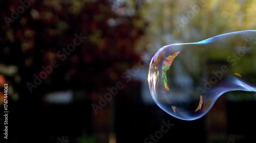 Big soap bubble