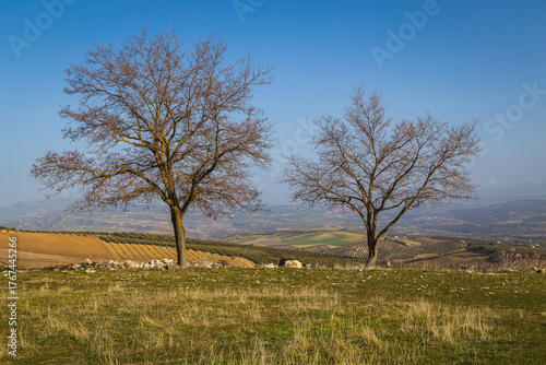 View to the ruins of the ancient Acinipo