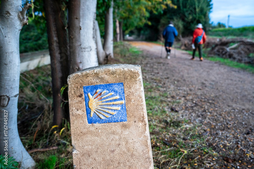 Slika na platnu Pilgrims walking on the Camino de Santiago, Mansilla de las Mulas , Autonomous C