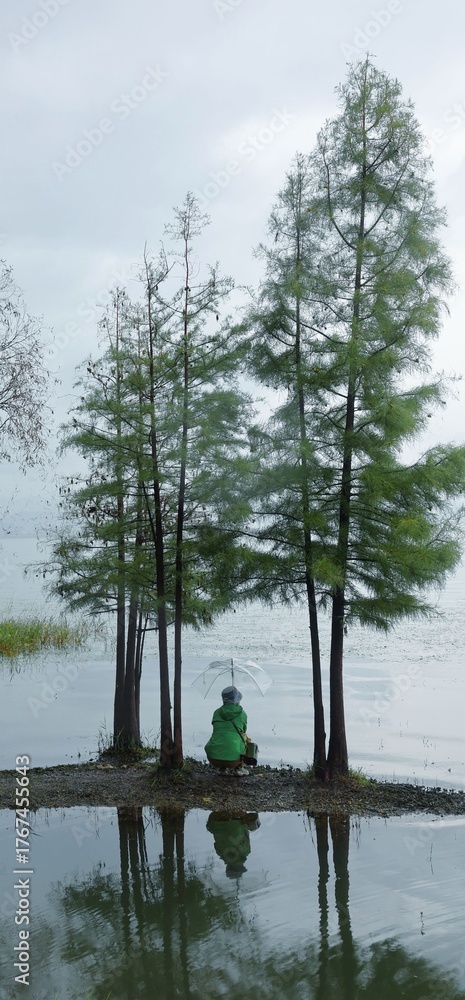 Obraz premium lake in the forest