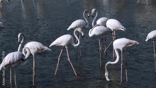  Shooting with the Blackmagic