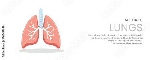 A set of clean and simple educational banners featuring an anatomical illustration of the human lungs. Modern flat design for medical presentations, websites or health articles.