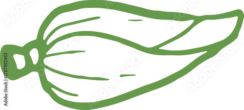 Ontong or Banana Blossom Hand Drawn Doodle Illustration