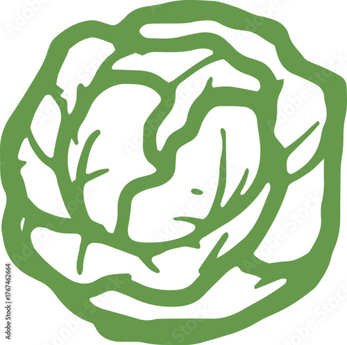 Hand-drawn cabbage doodle illustration for graphic design