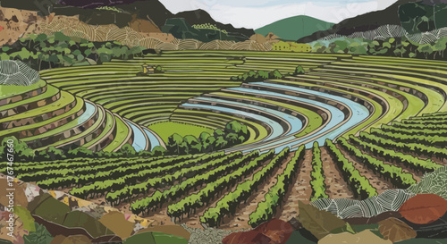 Scenic View of Rice Terraces and Vineyards in Lush Mountainous Landscape