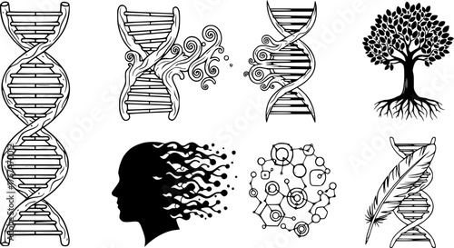 DNA strand on white background