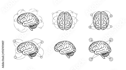 set of human brain