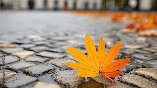 Fallen Maple Leaves Rest on Wet Cobblestone Street After Autumn Rain in a Quiet Urban Area
