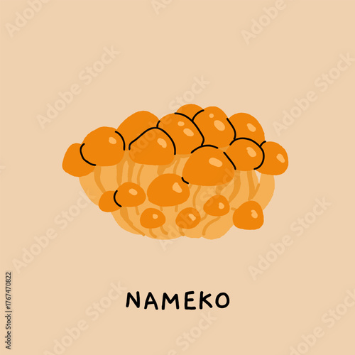Botanical illustration of nameko mushroom, vintage educational poster with labeled edible fungus, vector flat drawing in naturalistic style