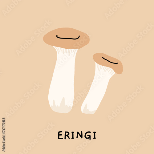 Botanical illustration of eringi mushroom, vintage educational poster with labeled edible fungus, vector flat drawing in naturalistic style