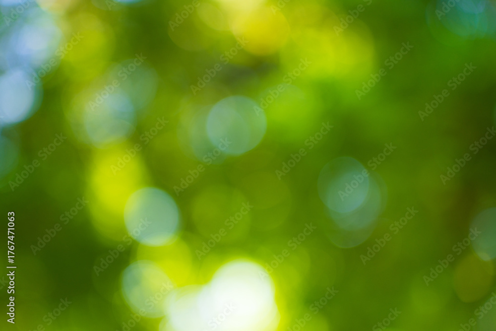Obraz premium Blur nature bokeh green park by beach and tropical coconut trees,Blur nature bokeh green park by beach and tropical coconut trees in sunset time.