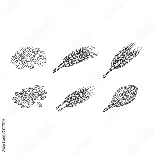 Grains and wheat ears line icons set cereal, seed, harvest, and other agriculture elements