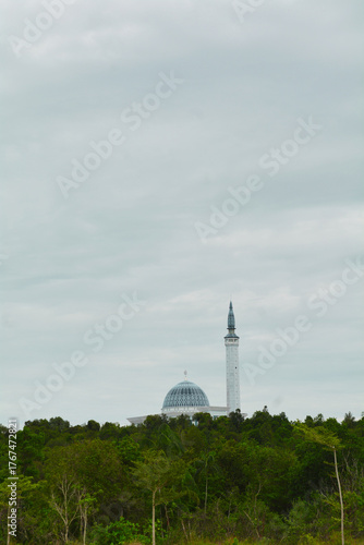 Mosque dome and tower are shown up among the trees