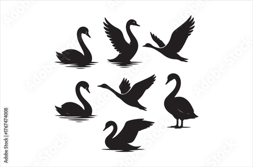 Silhouettes of black swans in various poses on calm waters
