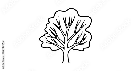Minimalist tree with bare branches silhouette on white background