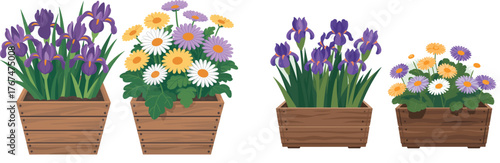 Spring Potted Flowers Vector Rustic Wooden Planters with Purple Irises and Colorful Gerbera Daisies