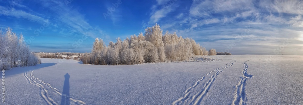Obraz premium winter landscape with snow