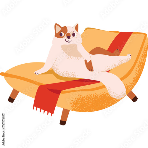 Fluffy Long Haired Cat Lounging Lazily on a Modern Orange Chaise Lounge with a Red Blanket draped over the side and a warm glow highlighting the scene